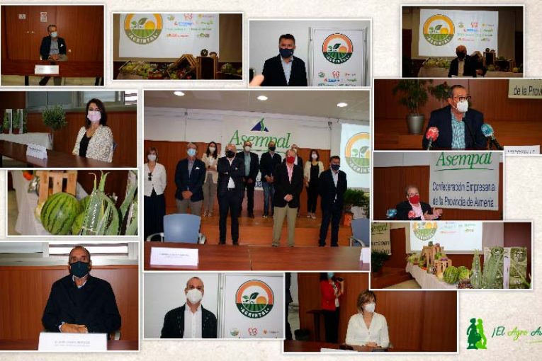 9 empresas del Levante almeriense crean Agrintal