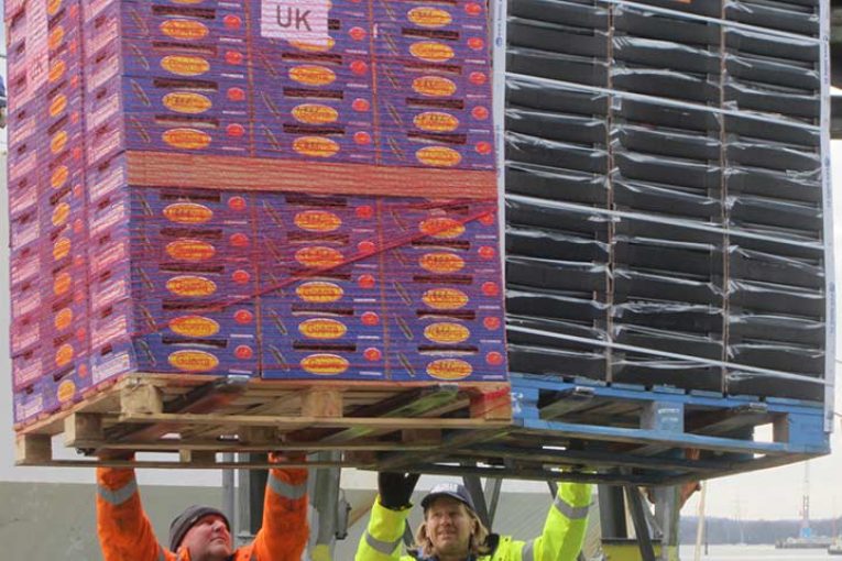 Temor en el sector a los aranceles de un Brexit sin acuerdo