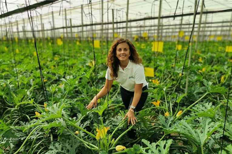 Profesiones de futuro: experto en agronutrientes y bioestimulantes