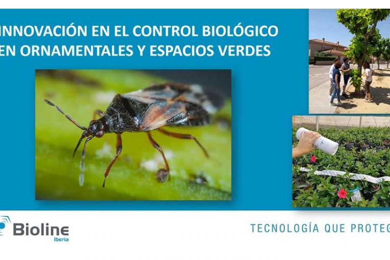 El control biológico también es posible en ornamental y espacios verdes