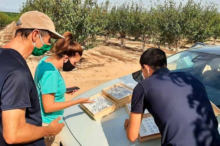 El Ciruelo y Syngenta colaboran en el proyecto de biodiversidad AgBio