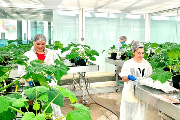 Sin residuos pero con burocracia. El reto de la agricultura no química