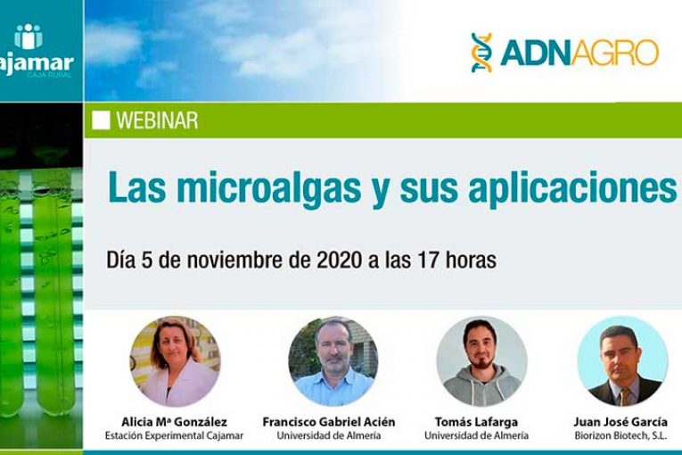 Día 5 de noviembre. Webinar 'Las microalgas y sus aplicaciones'
