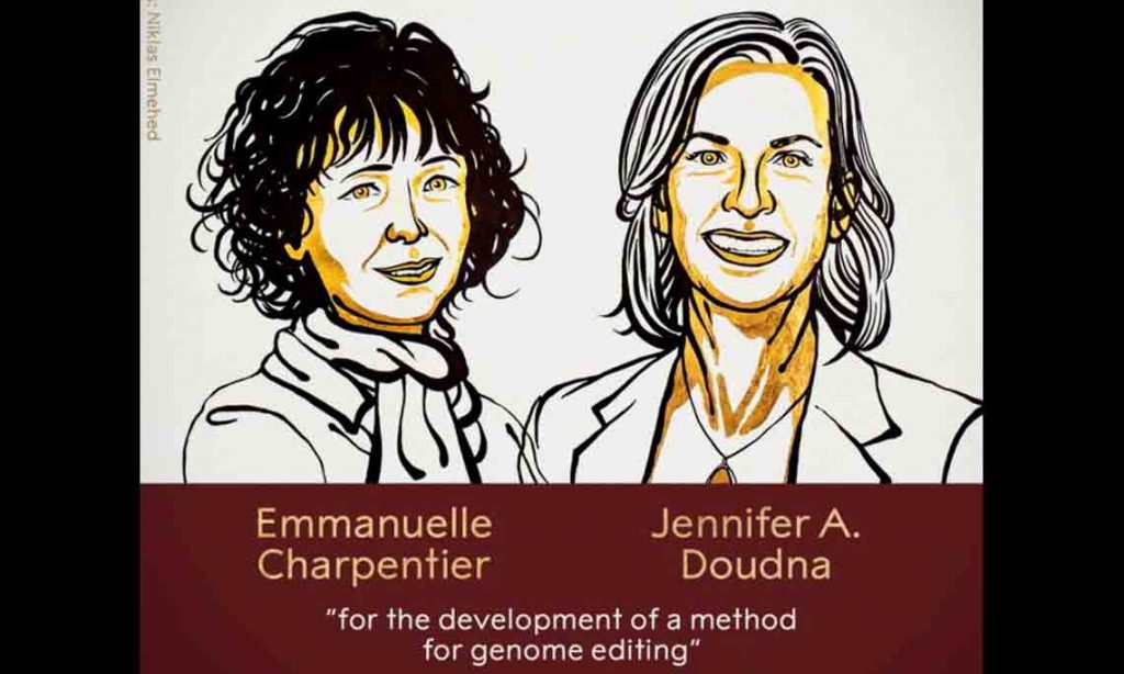 Nobel de Química 2020 Emmanuelle-Charpentier-&-Jennifer-Doudna.-Niklas-Elmehed. /joseantonioarcos.es