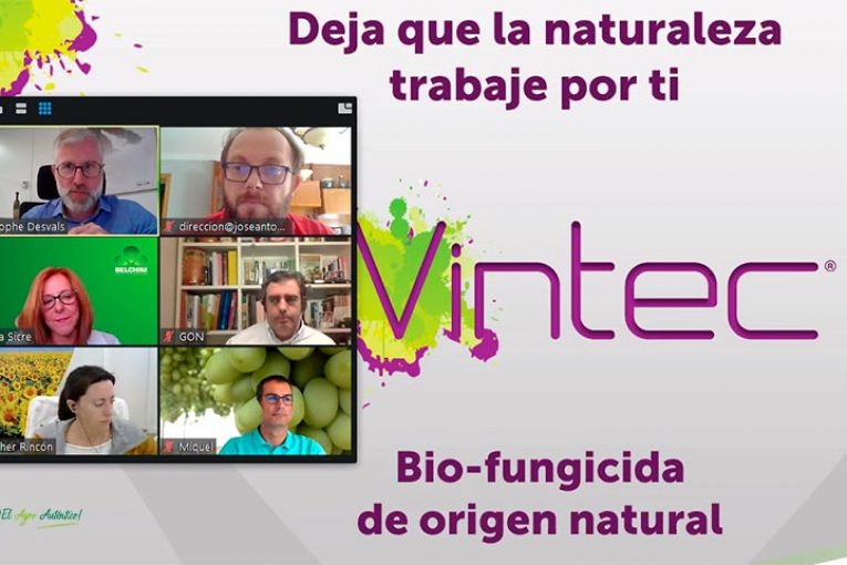 Belchim presenta un nuevo biofungicida para botrytis certificado en eco