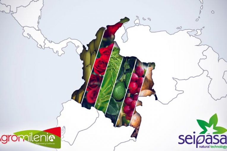 Seipasa aterriza en Colombia