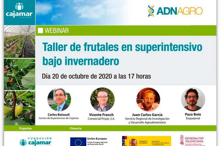 Día 20 de octubre. Taller de frutales en superintensivo bajo invernadero