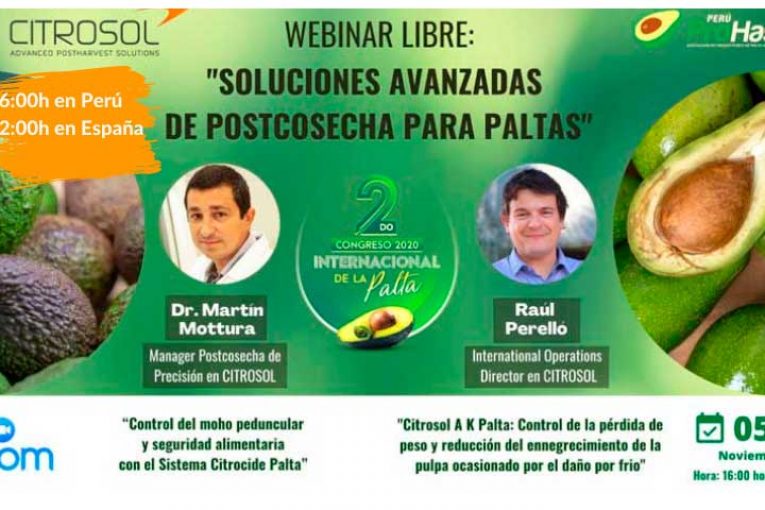 Día 5 de noviembre. Soluciones avanzadas de postcosecha en aguacate