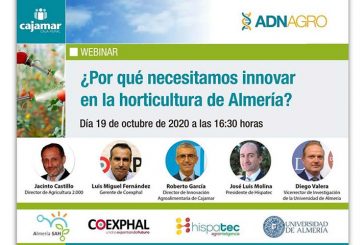 Día 19 de octubre. ¿Por qué necesitamos innovar en la horticultura de Almería?