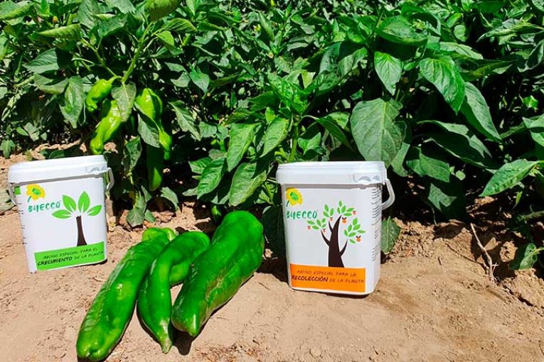Vellsam lanza una gama nutricional para huertos urbanos y jardinería