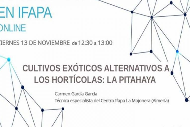 Día 13 de noviembre. Cultivos exóticos alternativos a los hortícolas: La Pitahaya