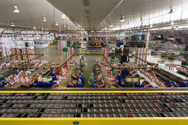 Hortofrutícola Costa de Almería entra en Anecoop