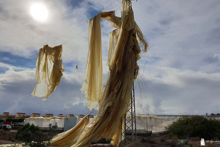La lluvia y un remolino dañan más de 8 hectáreas en El Ejido