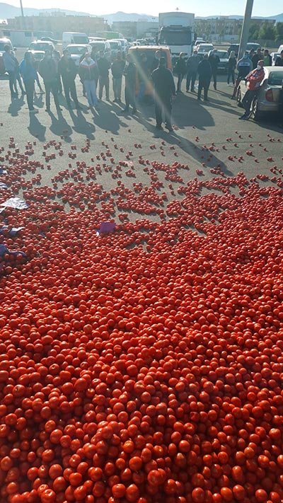 Tomates bajo coste en Níjar. /joseantonioarcos.es