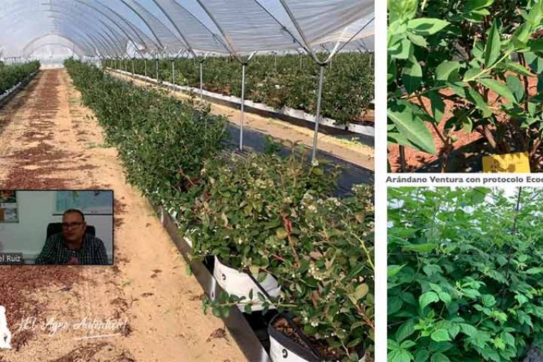 Se restringe de forma drástica el uso de nitrógeno en agricultura