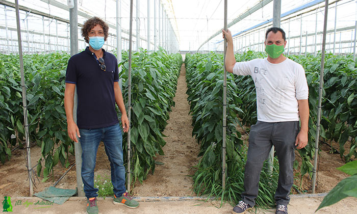 Fran Martín, de Nostoc Biotech, con el agricultor ecológico Fran González. /joseantonioarcos.es