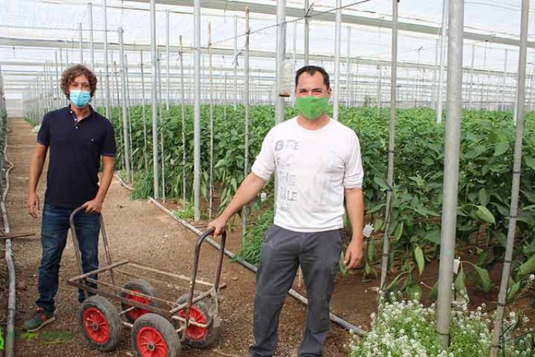 De agricultor biológico a microbiológico con Nostoc