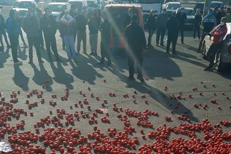 Tomates bajo coste en Níjar