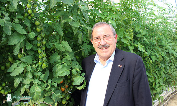 Francisco Góngora, presidente de la Interprofesional de Frutas y Hortalizas. /joseantonioarcos.es