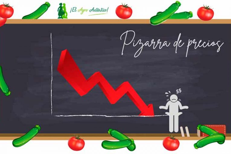 Agricultores de Níjar saldrán en caravana por los bajos precios