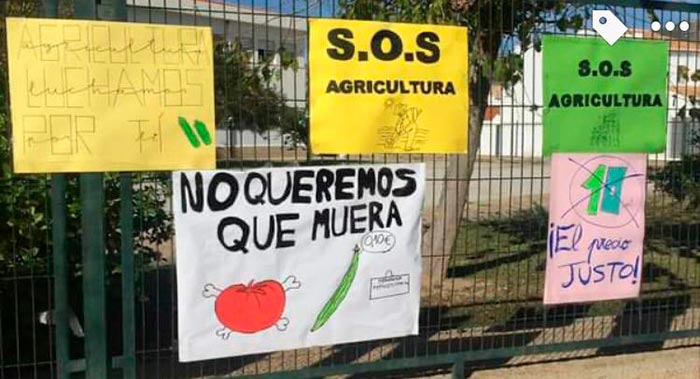 Los alumnos del colegio de Carchuna en Granada apoyan a las familias de agricultores. /joseantonioarcos.es