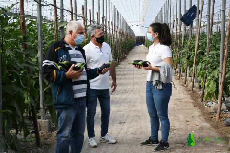 Un día de campo con Vellsam