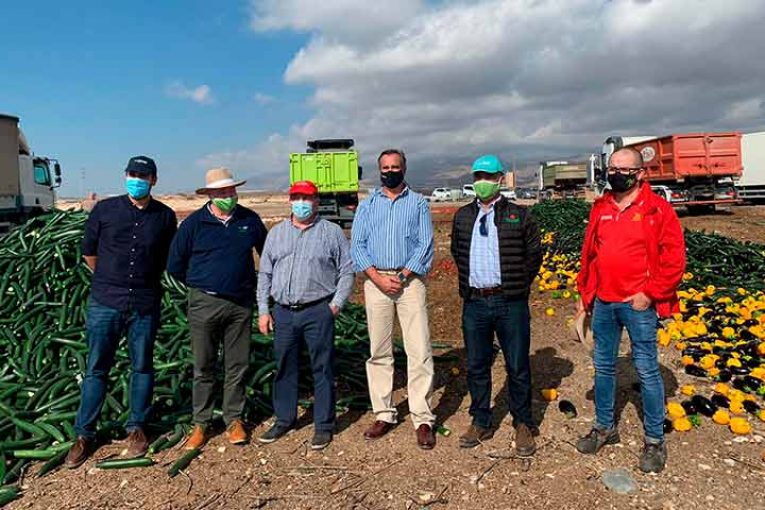 Coexphal destruye hortalizas sin precio en Almería