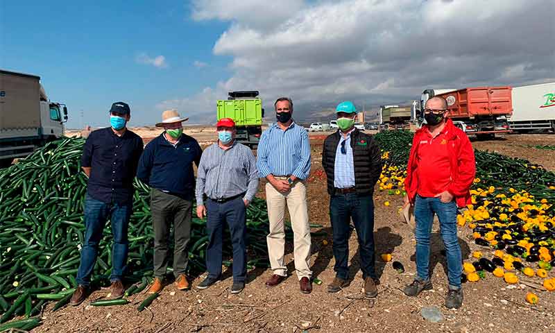 Coexphal destruye hortalizas sin precio en Almería