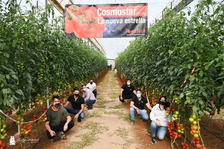 El rama Cosmostar de Tomatech