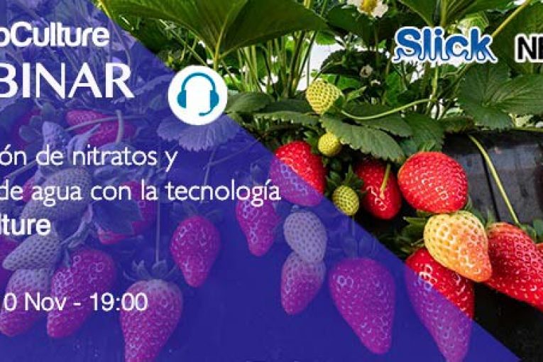 Día 10 de noviembre. Webinar 'Reducción de nitratos y ahorro de agua en berries'
