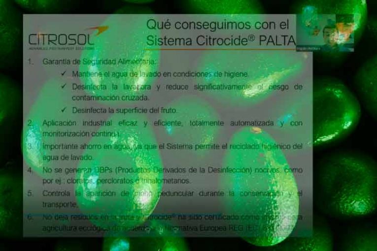 Citrosol innova con dos soluciones para reducir las reclamaciones en destino en los envíos de aguacate