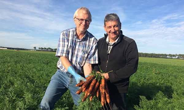 Hans Kole y Pascal Abiven de Saga Vegetal en un campo de zanahorias Romance en Les Landes, Francia.-joseantonioarcos.es