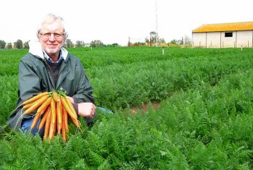 Un Romance de 10 años con las zanahorias de Nunhems