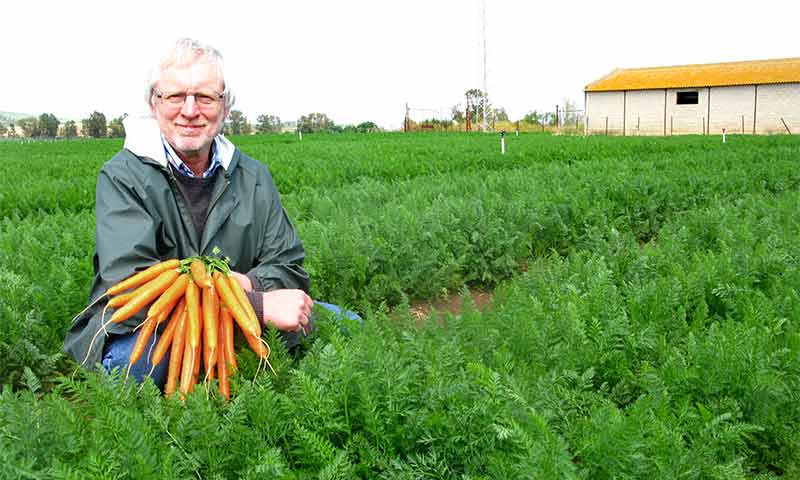 Un Romance de 10 años con las zanahorias de Nunhems