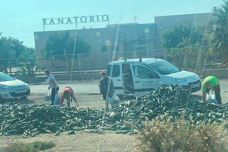 Asaja afea al Ministerio hablar de buenas cifras cuando se sufren bajos precios