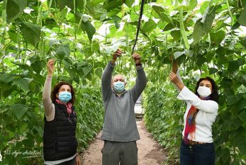 El primer agricultor de ecológico en Almería cumple 20 años