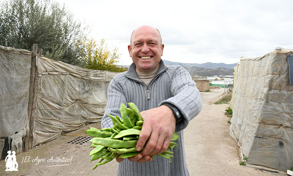 Pedro Álava, el primer productor de agricultura ecológica de Almería. /joseantonioarcos.es