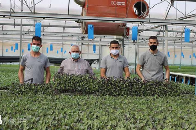 El templo ecológico de Saliplant en Motril