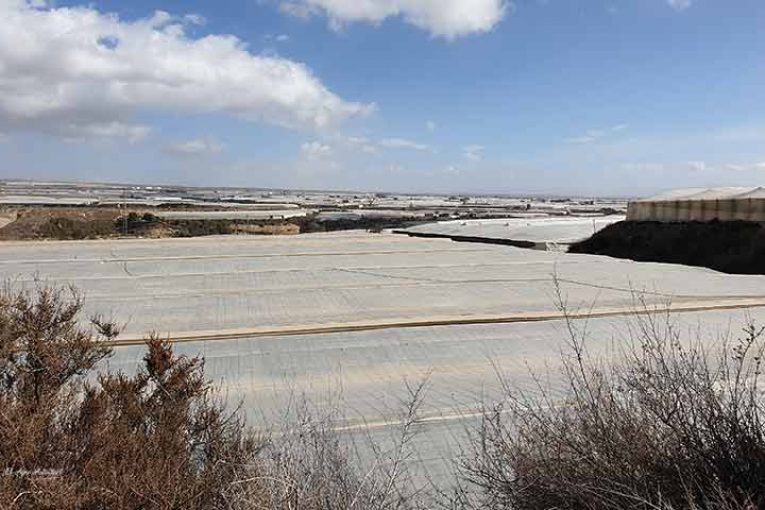 Resuelta una nueva convocatoria de modernización de estructuras