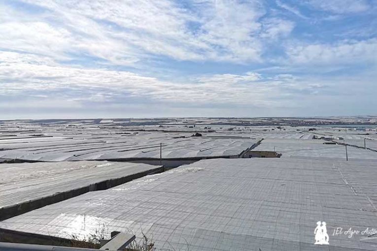 Energía fotonutritiva y fotosaludable  para 500 millones de europeos
