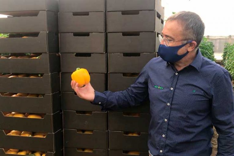 Soluciones frente al descenso de luz, posibles heladas y encharcamientos