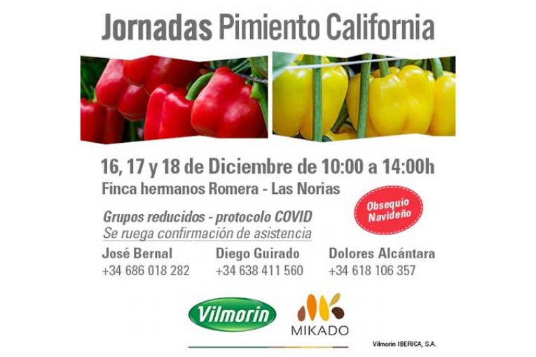 Días 16, 17 y 18 de diciembre. Jornadas de pimiento california de Vilmorin