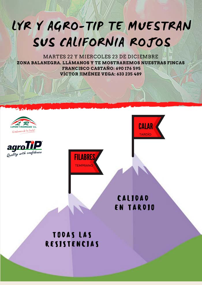 Pimientos de Agro-tip y Lupión y Rodríguez-joseantonioarcos.es