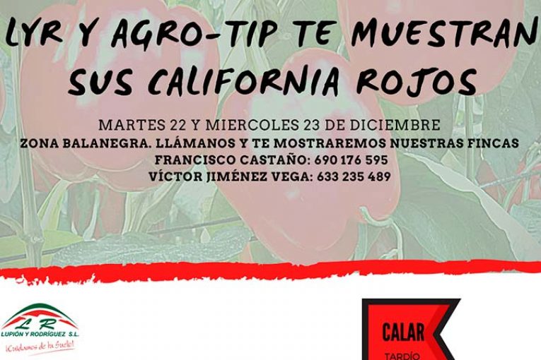 Días 22 y 23 de diciembre. Jornadas de pimiento california de agroTip