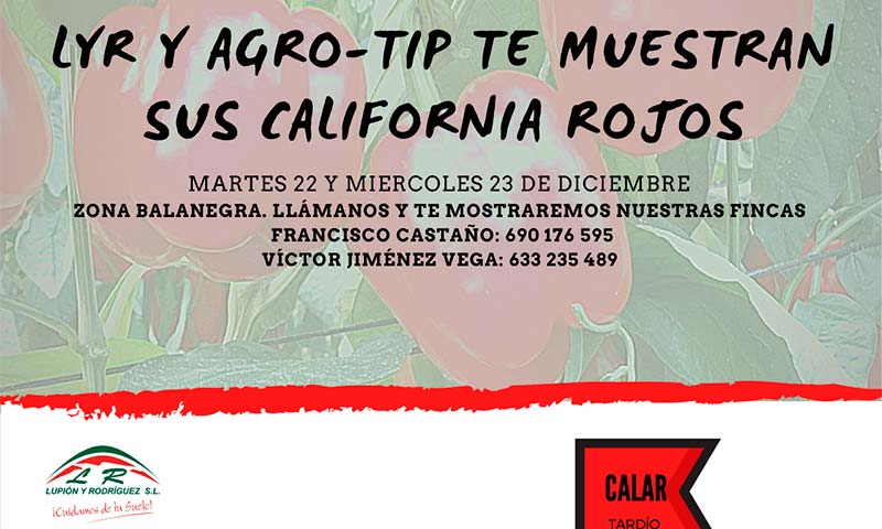 Días 22 y 23 de diciembre. Jornadas de pimiento california de agroTip