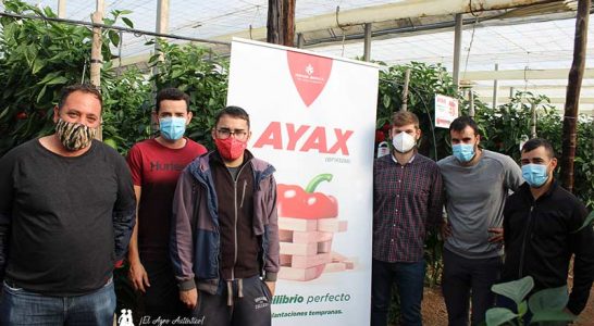 Jóvenes agricultores del Poniente almeriense en las jornadas de pimiento Ayax de Zeraim. /joseantonioarcos.es