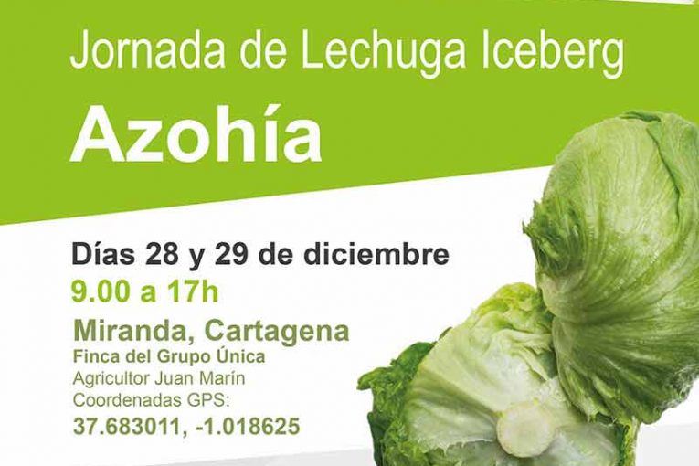 Días 28 y 29 de diciembre. Jornadas de lechuga iceberg de Vilmorín