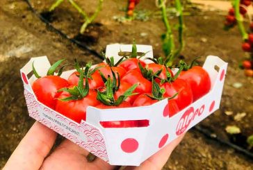 Nippo inaugura el concepto de tomate fundente