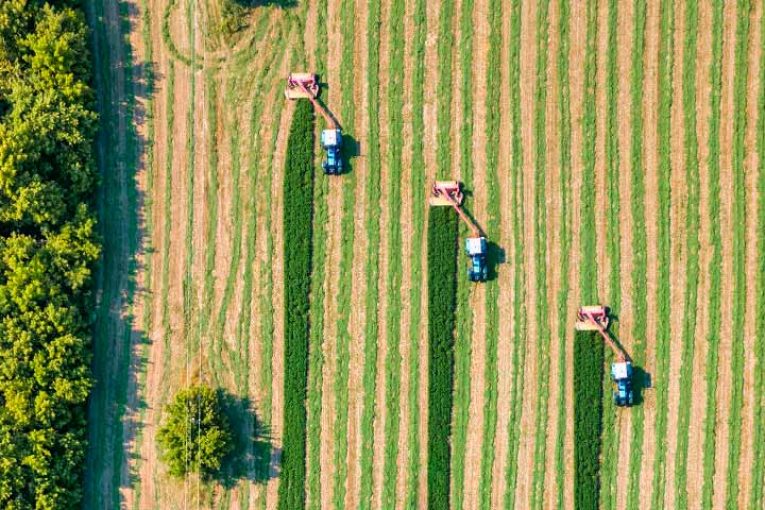 El nuevo “The Good Growth Plan” de Syngenta contra el cambio climático
