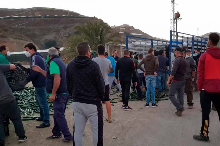 El año del Covid se cierra a pie de campo con desasosiego por los precios